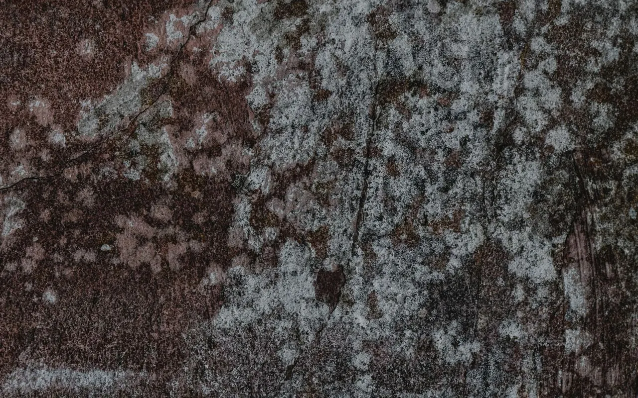 Mold spreading on a damp surface, a sign of hidden water damage in Casa Grande, AZ